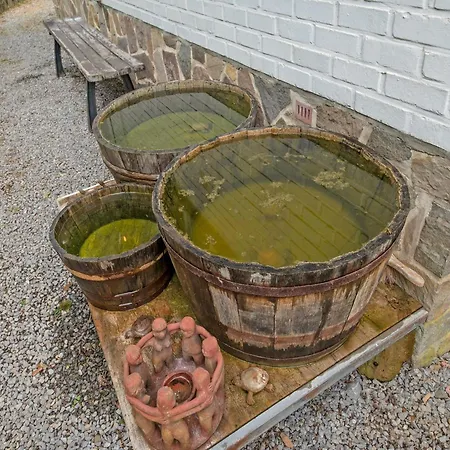 Vakantiehuis Cozy Hideaway In *